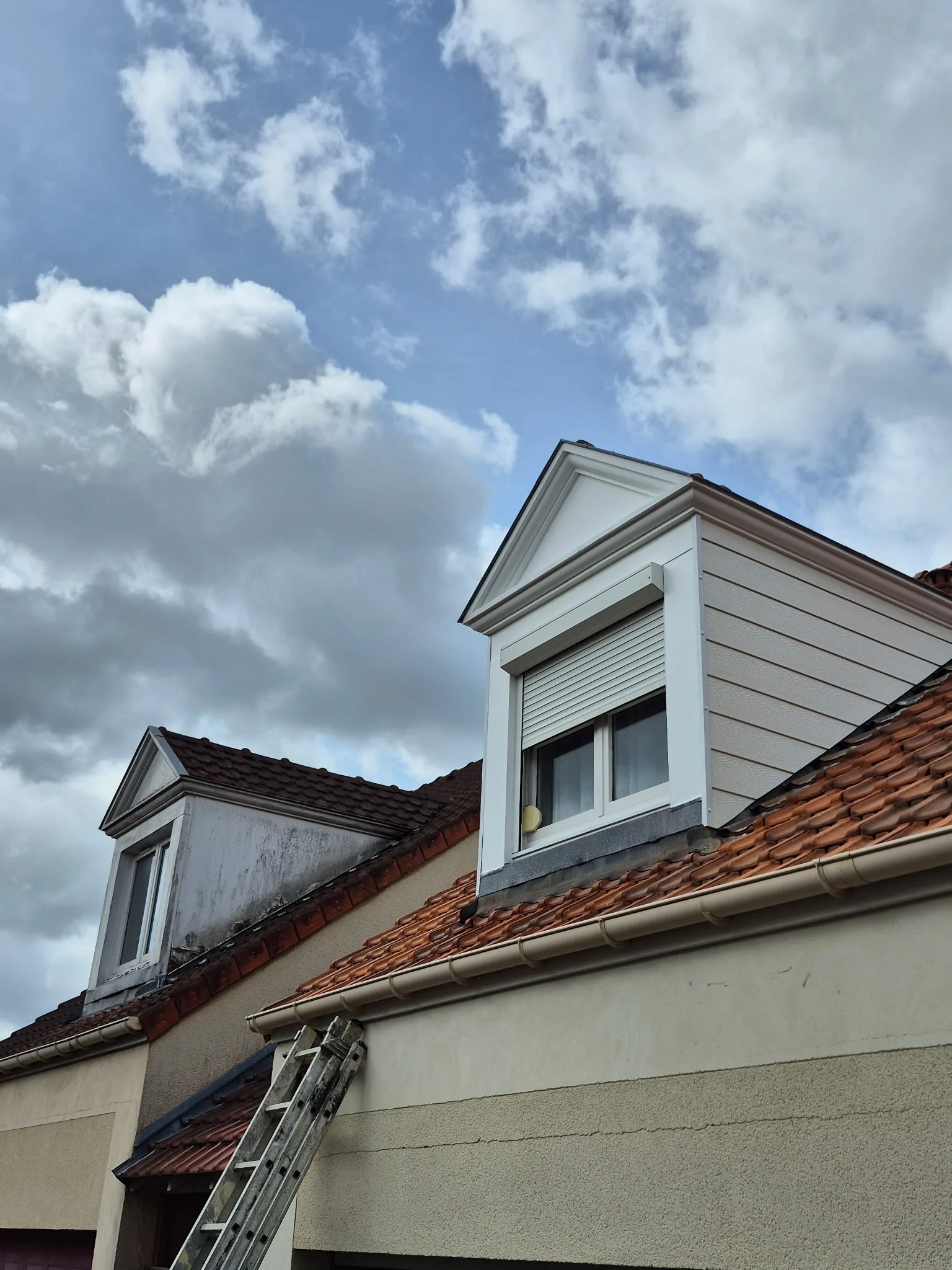 Réalisation : Rénovation d'un chien assis — Chiens assis
